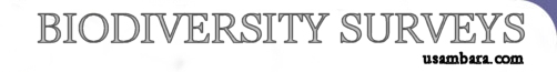 EUCAMP - Biodiversity Surveys
